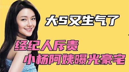 小杨爆料大招视频大全最新,大招视频大全，一网打尽最新技巧与策略  第2张